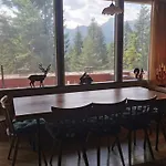 Nel Bosco Borca di Cadore
