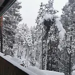 Nel Bosco Borca di Cadore