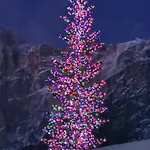 Chalet Nel Bosco Borca di Cadore