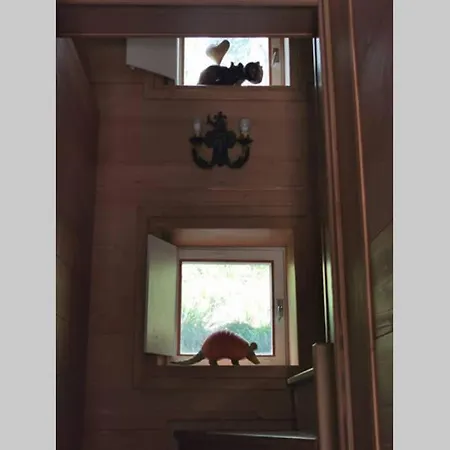 Nel Bosco * Borca di Cadore