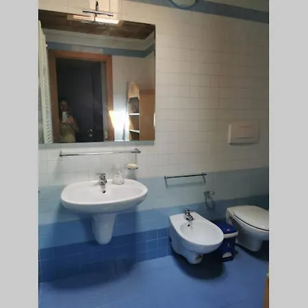 Nel Bosco Borca di Cadore