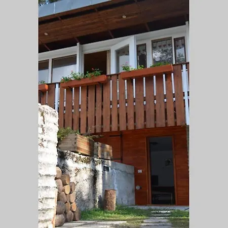 Chalet Nel Bosco Borca di Cadore