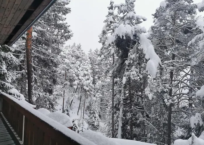 Nel Bosco Борка-ди-Кадоре