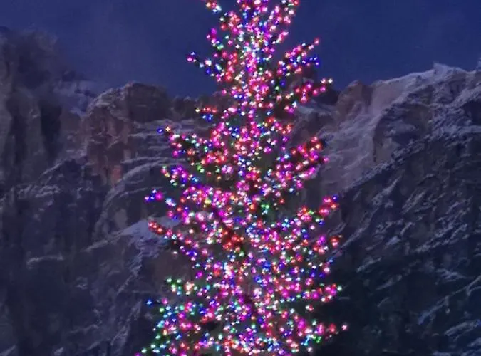 Alpehytte Nel Bosco Borca di Cadore