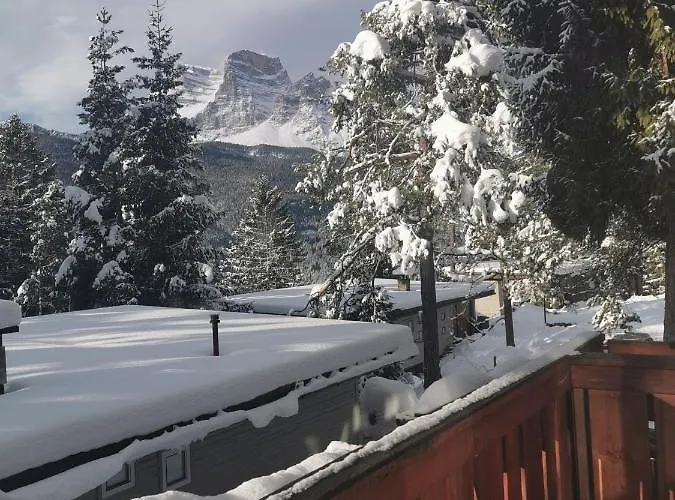 Nel Bosco * Borca di Cadore