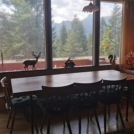 Nel Bosco Borca di Cadore