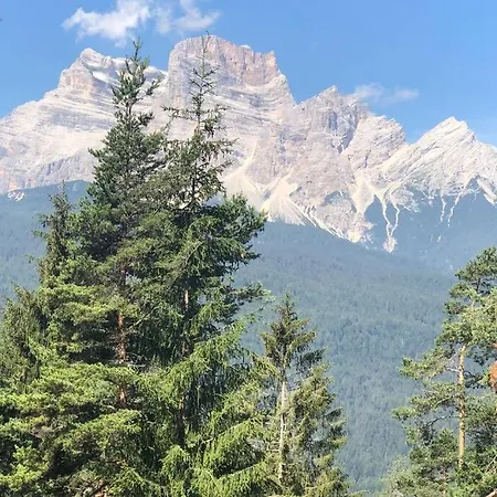 Nel Bosco Alpehytte *