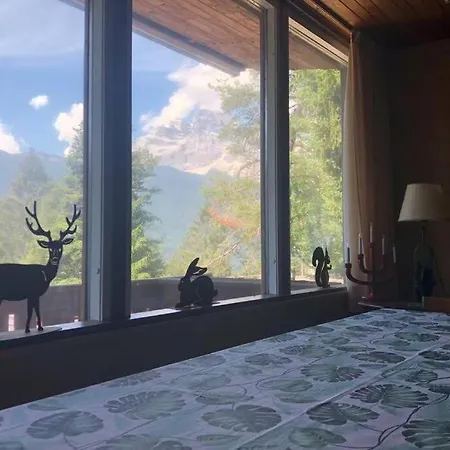 Nel Bosco Alpehytte