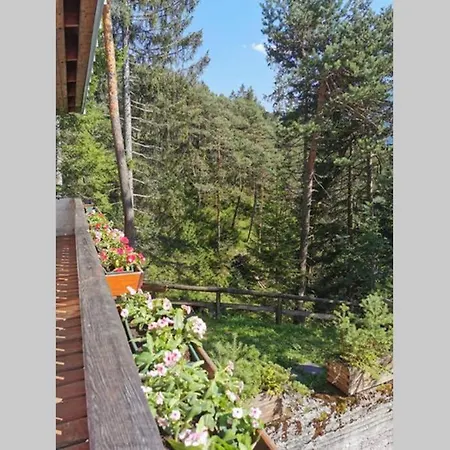 Nel Bosco Alpehytte *