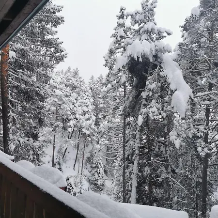 Nel Bosco Borca di Cadore
