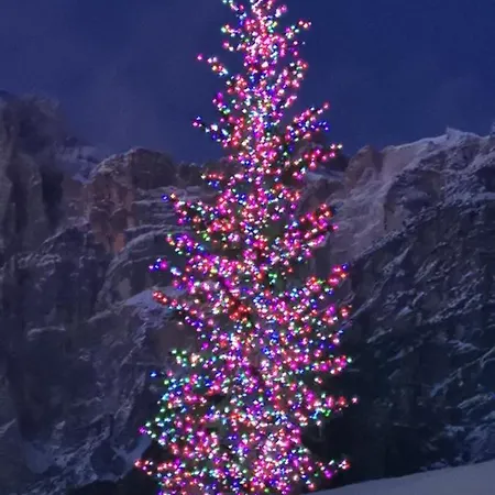 Alpstuga Nel Bosco Borca di Cadore