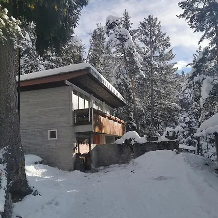Nel Bosco