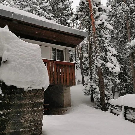 Nel Bosco Chalet Borca di Cadore