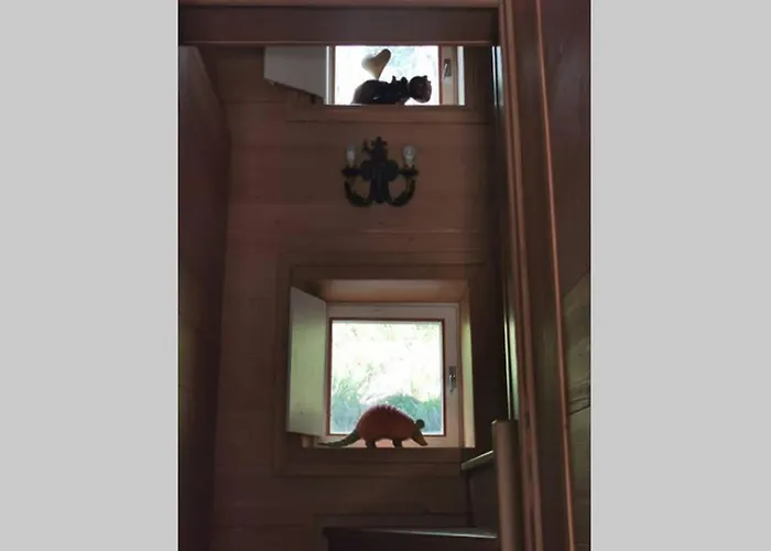 Nel Bosco * ボルカ・ディ・カドーレ